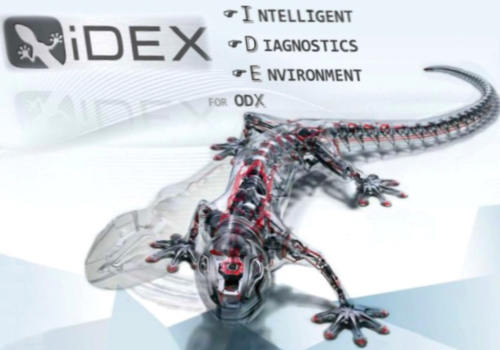 20240918091453227-image