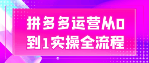 拼多多运营从0到1实操全流程-大众奥迪MQB刷隐藏|改装升级教程|学习教程|固件|编码缘众日记