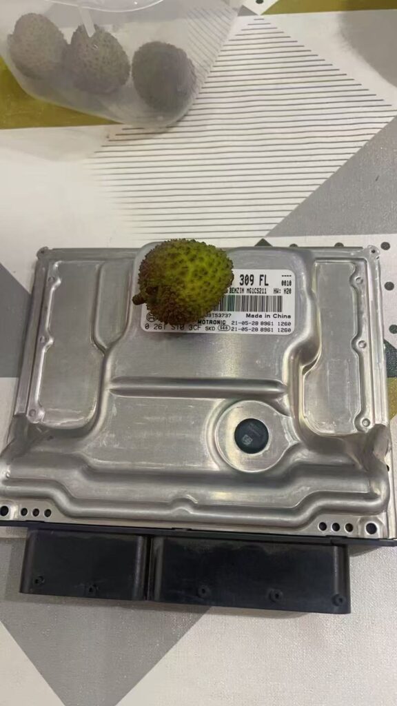 20250904115209884-a0a31fc91196d288c9a4f418e8fa6667