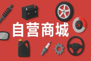 新版商城上线了可以观赏一下-大众奥迪MQB刷隐藏|改装升级教程|学习教程|固件|编码缘众日记