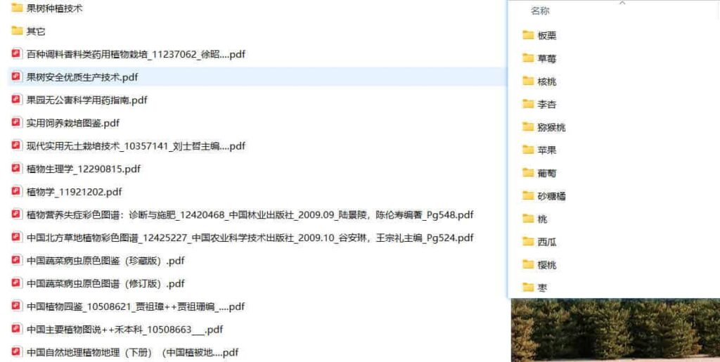 20260112164940195-4b64a4011916e53e3d8be4da1ce72e72_1768198521676039