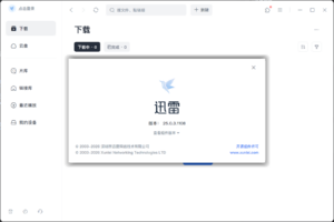 迅雷2025Beta v25.0.3.1108绿色精简版-大众奥迪MQB刷隐藏|改装升级教程|学习教程|固件|编码缘众日记