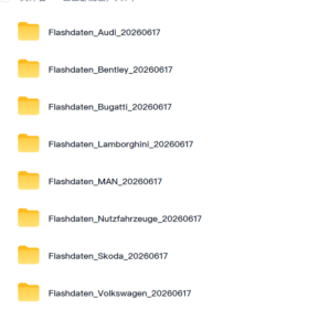 大众集团汽车更新固件包Flashdaten_Volkswagen_25-260416-大众奥迪MQB刷隐藏|改装升级教程|学习教程|固件|编码缘众日记